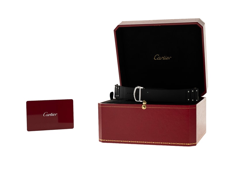 Cartier Santos De Cartier WSSA0037